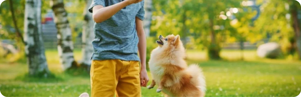 bimbo che gioca con cucciolo di spitz tedesco